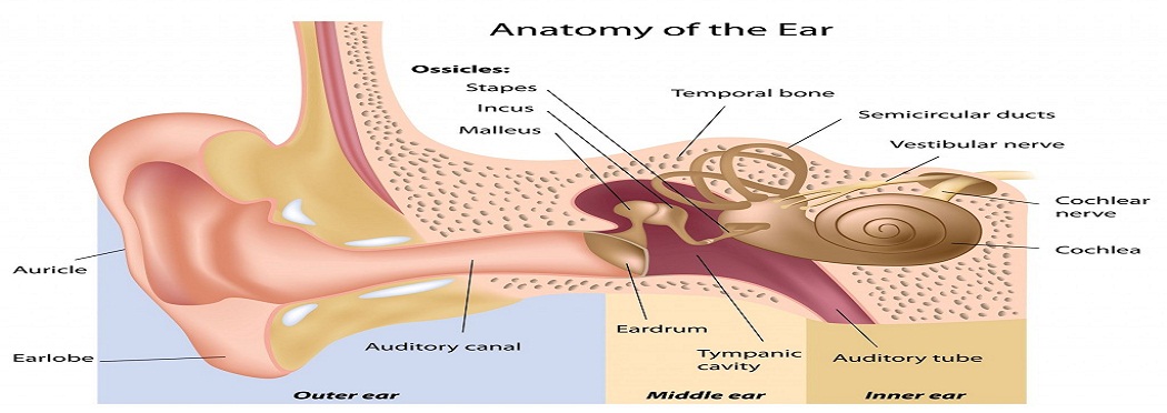 Ear Disorders